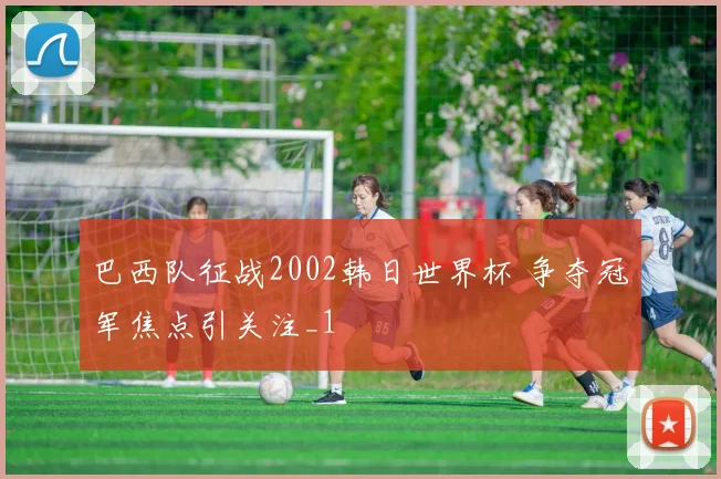 巴西队征战2002韩日世界杯 争夺冠军焦点引关注_1